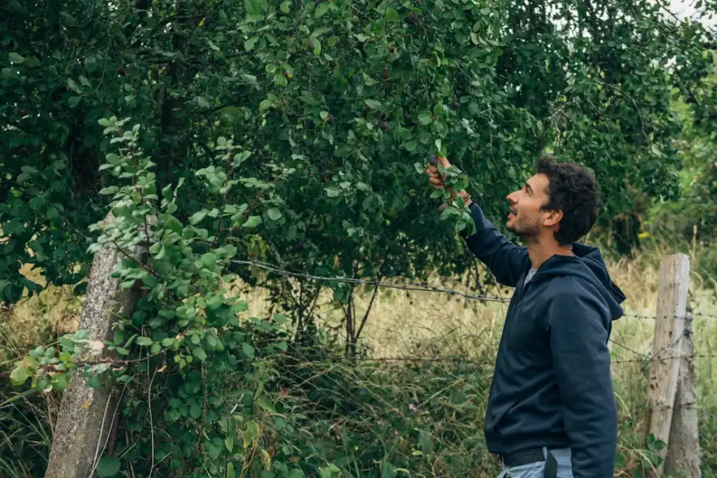 050720 002 – Rodolphe Landemaine, lance son projet d'agroforesterie ! – Land&Monkeys