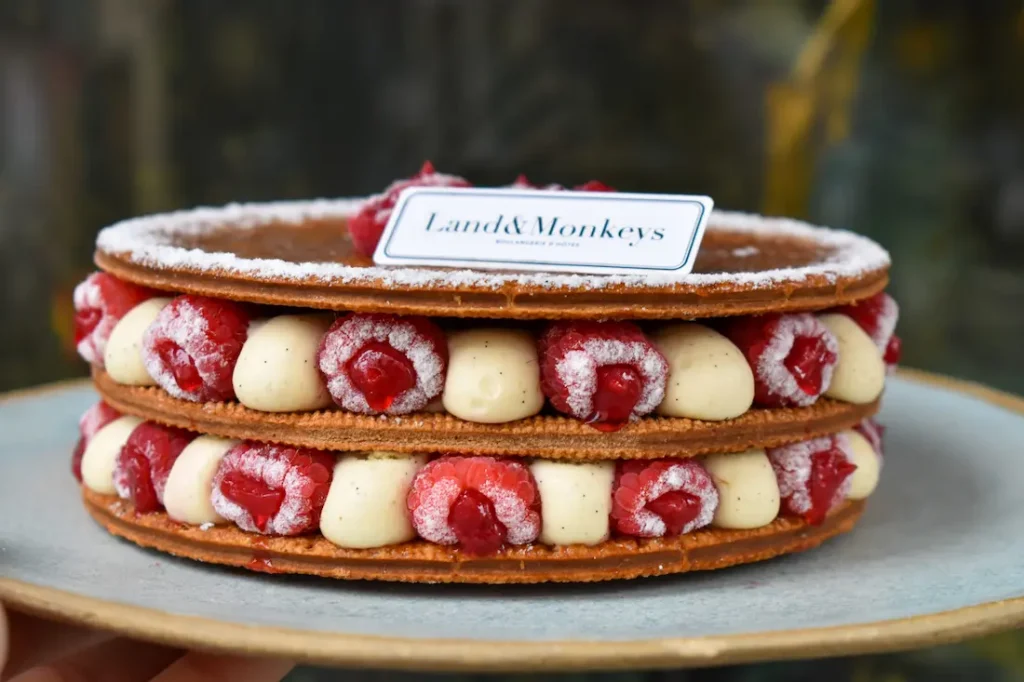 DSC 1845 scaled 1 – C'est le temps des framboises chez Land&Monkeys ! – Land&Monkeys