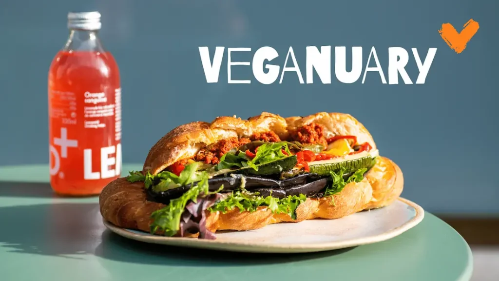 Sans titre – Le veganuary 2022 : les challenge des bonnes résolutions ! – Land&Monkeys
