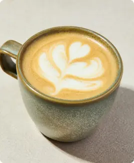 Land Monkeys cappuccino – Nos produits – Land&Monkeys