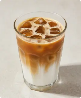 Land Monkeys iced coffee – Nos produits – Land&Monkeys