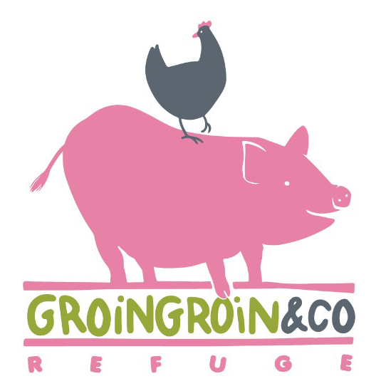 rr groin groin refuge land&monkeys