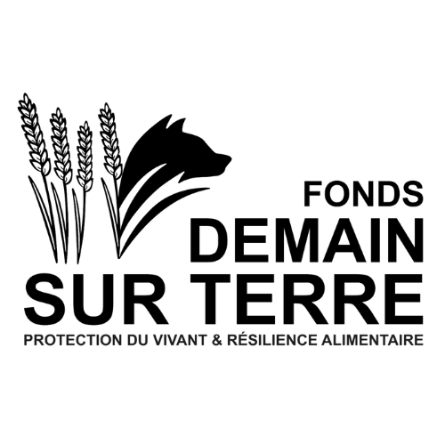 Design sans titre (1)