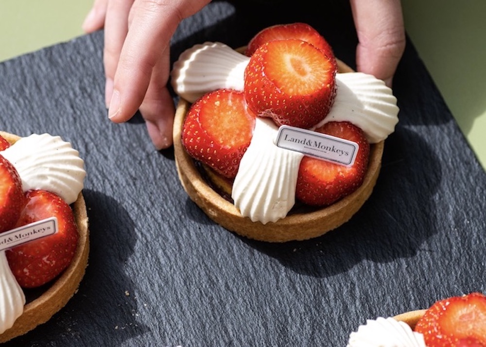 landandmonkeys-tartefraise01