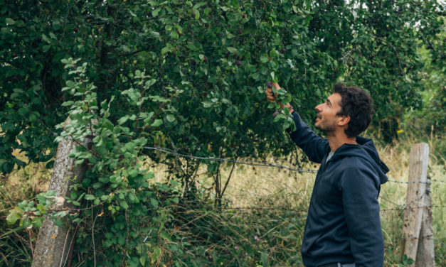 RODOLPHE LANDEMAINE, LANCE SON PROJET D’AGROFORESTERIE ! 